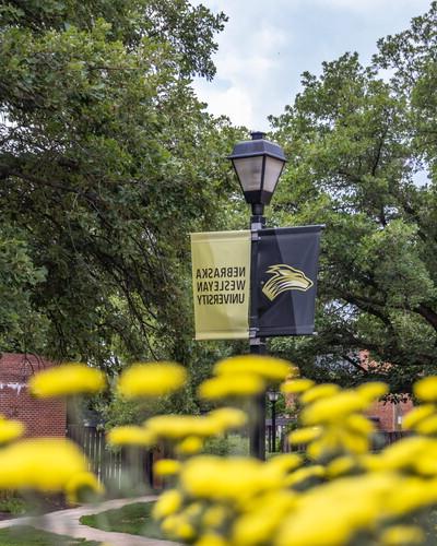 Campus beauty shot with NWU sign on a light pole.